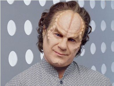 phlox.jpg