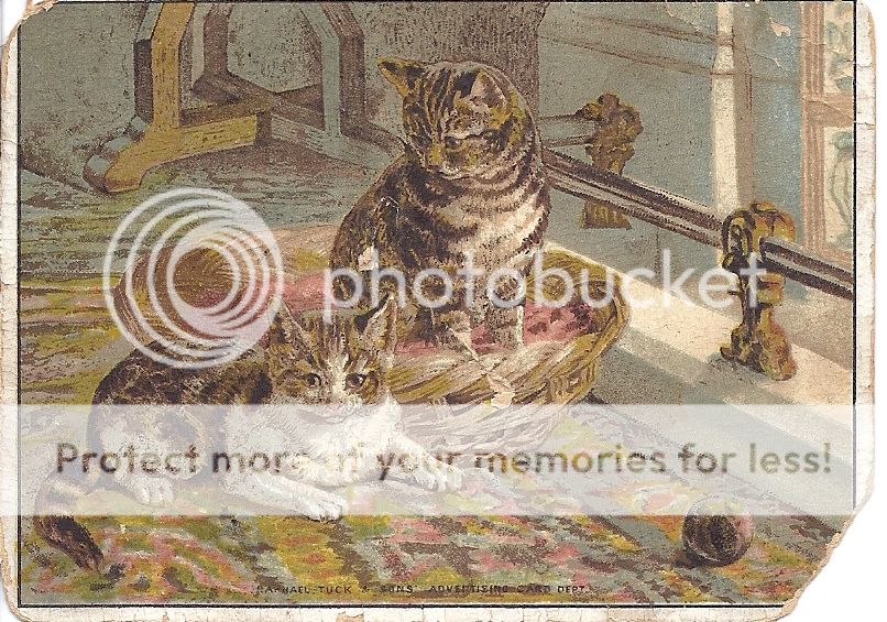 vintage_cat_postcard_2.jpg Photo by sarahjmorriss Photobucket